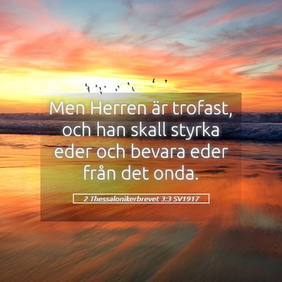 Picture 05 - 2 Thessalonikerbrevet 3:3 SV1917 - Men Herren är trofast, och han skall styrka eder - Bible Verse Picture