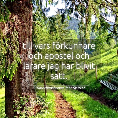 Picture 05 - 2 Timotheosbrevet 1:11 SV1917 - till vars förkunnare och apostel och lärare jag - Bible Verse Picture