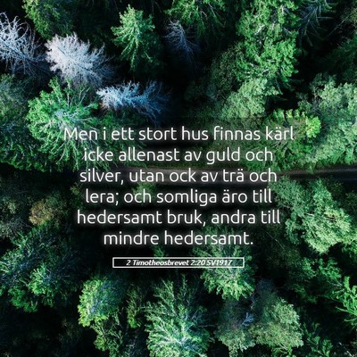 Picture 05 - 2 Timotheosbrevet 2:20 SV1917 - Men i ett stort hus finnas kärl icke allenast av - Bible Verse Picture