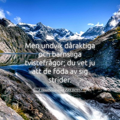 Picture 05 - 2 Timotheosbrevet 2:23 SV1917 - Men undvik dåraktiga och barnsliga - Bible Verse Picture