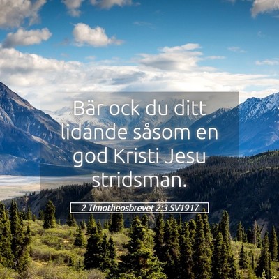 Picture 05 - 2 Timotheosbrevet 2:3 SV1917 - Bär ock du ditt lidande såsom en god Kristi - Bible Verse Picture