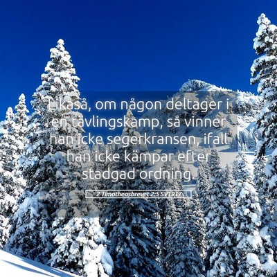 Picture 05 - 2 Timotheosbrevet 2:5 SV1917 - Likaså, om någon deltager i en tävlingskamp, - Bible Verse Picture