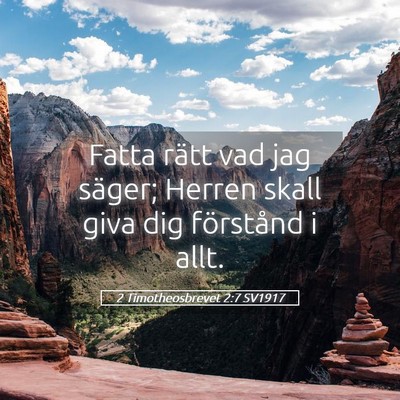 Picture 05 - 2 Timotheosbrevet 2:7 SV1917 - Fatta rätt vad jag säger; Herren skall giva dig - Bible Verse Picture