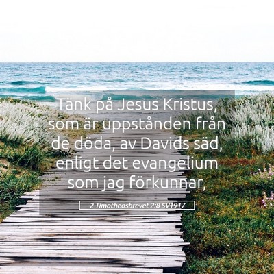 Picture 05 - 2 Timotheosbrevet 2:8 SV1917 - Tänk på Jesus Kristus, som är uppstånden - Bible Verse Picture