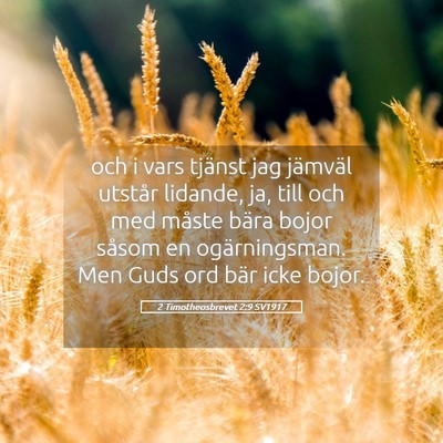 Picture 05 - 2 Timotheosbrevet 2:9 SV1917 - och i vars tjänst jag jämväl utstår lidande, - Bible Verse Picture