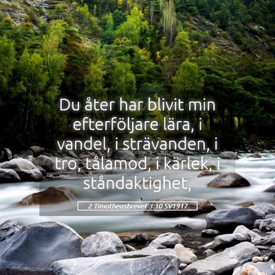 Picture 05 - 2 Timotheosbrevet 3:10 SV1917 - Du åter har blivit min efterföljare lära, i - Bible Verse Picture