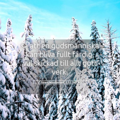 Picture 05 - 2 Timotheosbrevet 3:17 SV1917 - så att en gudsmänniska kan bliva fullt färdig, - Bible Verse Picture