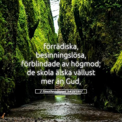 Picture 05 - 2 Timotheosbrevet 3:4 SV1917 - förrädiska, besinningslösa, förblindade av - Bible Verse Picture