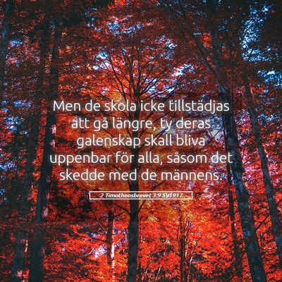 Picture 05 - 2 Timotheosbrevet 3:9 SV1917 - Men de skola icke tillstädjas att gå längre, - Bible Verse Picture