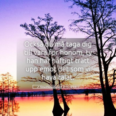 Picture 05 - 2 Timotheosbrevet 4:15 SV1917 - Också du må taga dig till vara för honom, ty - Bible Verse Picture