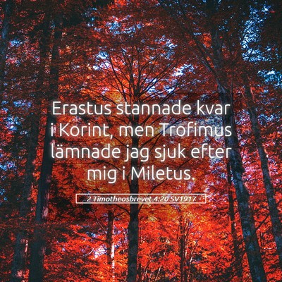 Picture 05 - 2 Timotheosbrevet 4:20 SV1917 - Erastus stannade kvar i Korint, men Trofimus - Bible Verse Picture
