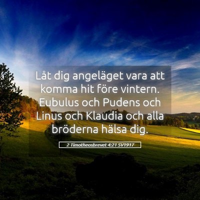 Picture 05 - 2 Timotheosbrevet 4:21 SV1917 - Låt dig angeläget vara att komma hit före - Bible Verse Picture
