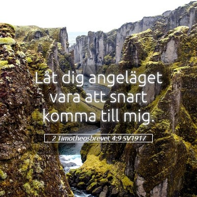 Picture 05 - 2 Timotheosbrevet 4:9 SV1917 - Låt dig angeläget vara att snart komma till - Bible Verse Picture