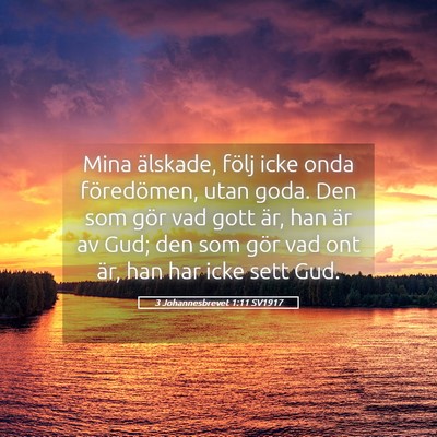 Picture 05 - 3 Johannesbrevet 1:11 SV1917 - Mina älskade, följ icke onda föredömen, utan - Bible Verse Picture