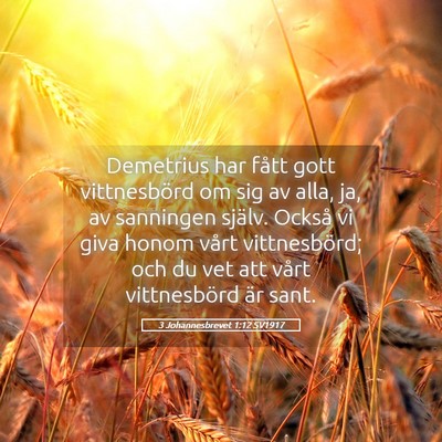 Picture 05 - 3 Johannesbrevet 1:12 SV1917 - Demetrius har fått gott vittnesbörd om sig av - Bible Verse Picture