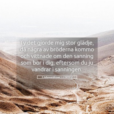 Picture 05 - 3 Johannesbrevet 1:3 SV1917 - Ty det gjorde mig stor glädje, då några av - Bible Verse Picture