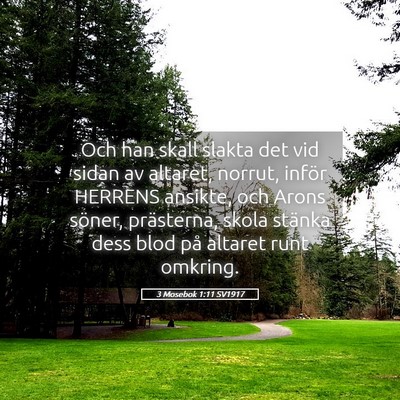 Picture 05 - 3 Mosebok 1:11 SV1917 - Och han skall slakta det vid sidan av altaret, - Bible Verse Picture