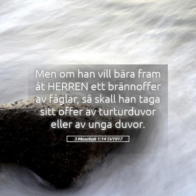 Picture 05 - 3 Mosebok 1:14 SV1917 - Men om han vill bära fram åt HERREN ett - Bible Verse Picture