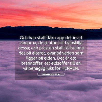 Picture 05 - 3 Mosebok 1:17 SV1917 - Och han skall fläka upp det invid vingarna, dock - Bible Verse Picture