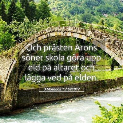 Picture 05 - 3 Mosebok 1:7 SV1917 - Och prästen Arons söner skola göra upp eld på - Bible Verse Picture
