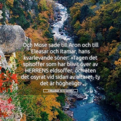 Picture 05 - 3 Mosebok 10:12 SV1917 - Och Mose sade till Aron och till Eleasar och - Bible Verse Picture