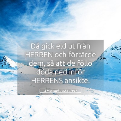 Picture 05 - 3 Mosebok 10:2 SV1917 - Då gick eld ut från HERREN och förtärde dem, - Bible Verse Picture