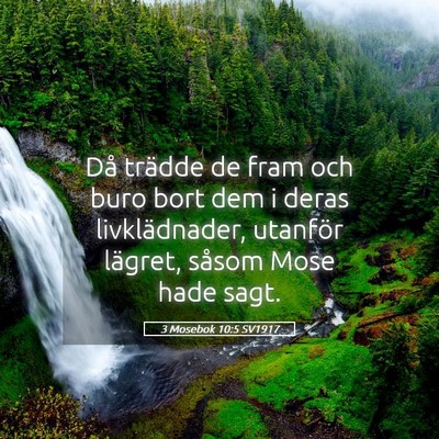 Picture 05 - 3 Mosebok 10:5 SV1917 - Då trädde de fram och buro bort dem i deras - Bible Verse Picture