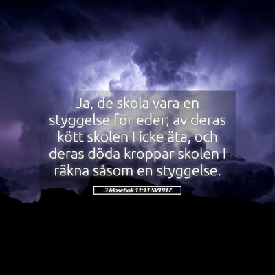 Picture 05 - 3 Mosebok 11:11 SV1917 - Ja, de skola vara en styggelse för eder; av - Bible Verse Picture