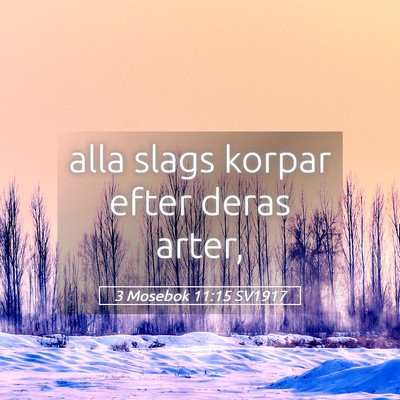 Picture 05 - 3 Mosebok 11:15 SV1917 - alla slags korpar efter deras - Bible Verse Picture