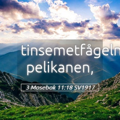 Picture 05 - 3 Mosebok 11:18 SV1917 - tinsemetfågeln, - Bible Verse Picture