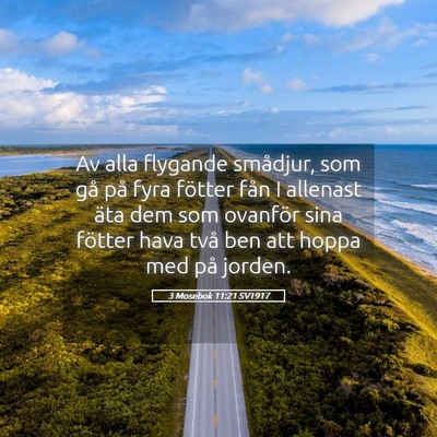 Picture 05 - 3 Mosebok 11:21 SV1917 - Av alla flygande smådjur, som gå på fyra - Bible Verse Picture