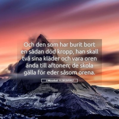 Picture 05 - 3 Mosebok 11:28 SV1917 - Och den som har burit bort en sådan död kropp, - Bible Verse Picture