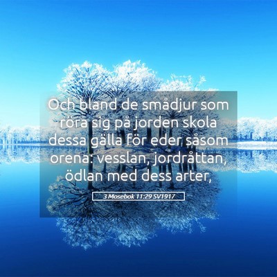 Picture 05 - 3 Mosebok 11:29 SV1917 - Och bland de smådjur som röra sig på jorden - Bible Verse Picture