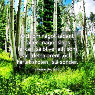 Picture 05 - 3 Mosebok 11:33 SV1917 - Och om något sådant faller i något slags - Bible Verse Picture