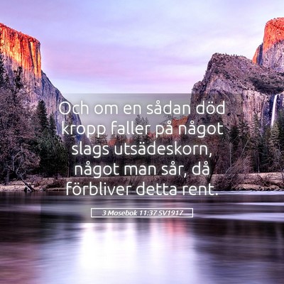 Picture 05 - 3 Mosebok 11:37 SV1917 - Och om en sådan död kropp faller på något - Bible Verse Picture