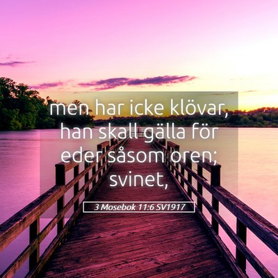 Picture 05 - 3 Mosebok 11:6 SV1917 - men har icke klövar, han skall gälla för eder - Bible Verse Picture
