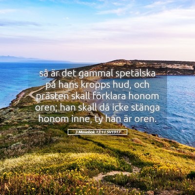 Picture 05 - 3 Mosebok 13:11 SV1917 - så är det gammal spetälska på hans kropps - Bible Verse Picture