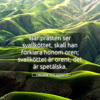 Picture 05 - 3 Mosebok 13:15 SV1917 - När prästen ser svallköttet, skall han - Bible Verse Picture