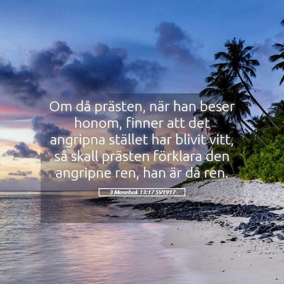 Picture 05 - 3 Mosebok 13:17 SV1917 - Om då prästen, när han beser honom, finner att - Bible Verse Picture