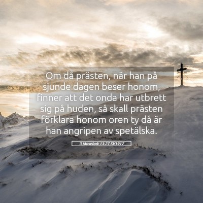 Picture 05 - 3 Mosebok 13:27 SV1917 - Om då prästen, när han på sjunde dagen beser - Bible Verse Picture