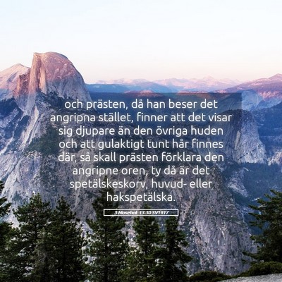 Picture 05 - 3 Mosebok 13:30 SV1917 - och prästen, då han beser det angripna - Bible Verse Picture