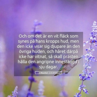Picture 05 - 3 Mosebok 13:4 SV1917 - Och om det är en vit fläck som synes på hans - Bible Verse Picture