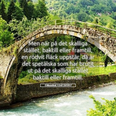 Picture 05 - 3 Mosebok 13:42 SV1917 - Men när på det skalliga stället, baktill eller - Bible Verse Picture