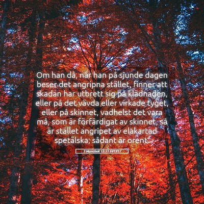 Picture 05 - 3 Mosebok 13:51 SV1917 - Om han då, när han på sjunde dagen beser det - Bible Verse Picture