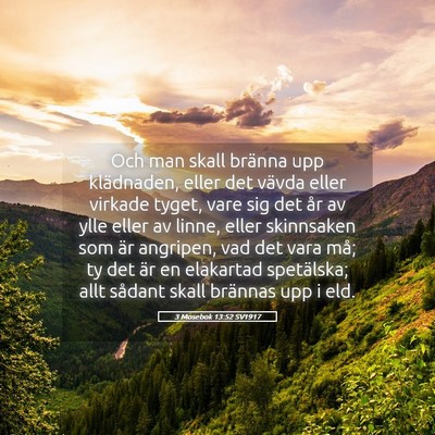Picture 05 - 3 Mosebok 13:52 SV1917 - Och man skall bränna upp klädnaden, eller det - Bible Verse Picture