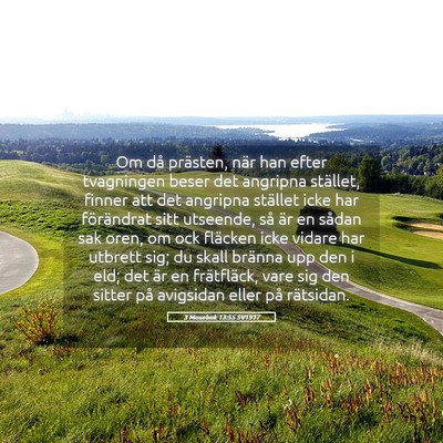 Picture 05 - 3 Mosebok 13:55 SV1917 - Om då prästen, när han efter tvagningen beser - Bible Verse Picture