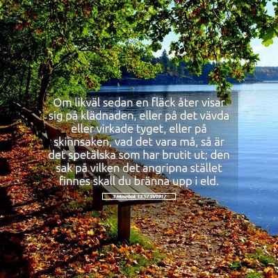 Picture 05 - 3 Mosebok 13:57 SV1917 - Om likväl sedan en fläck åter visar sig på - Bible Verse Picture