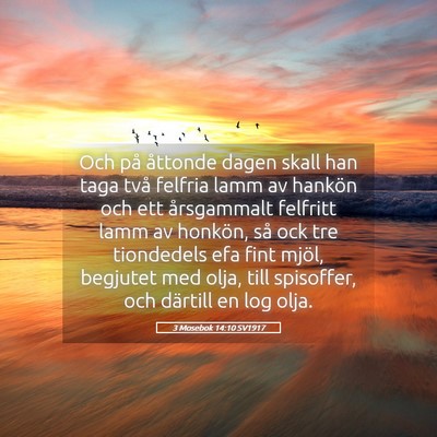 Picture 05 - 3 Mosebok 14:10 SV1917 - Och på åttonde dagen skall han taga två - Bible Verse Picture