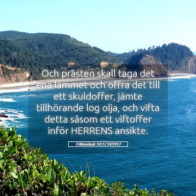 Picture 05 - 3 Mosebok 14:12 SV1917 - Och prästen skall taga det ena lammet och offra - Bible Verse Picture