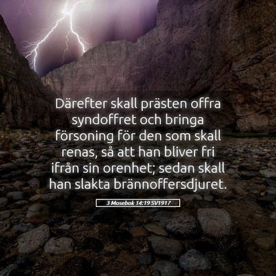Picture 05 - 3 Mosebok 14:19 SV1917 - Därefter skall prästen offra syndoffret och - Bible Verse Picture